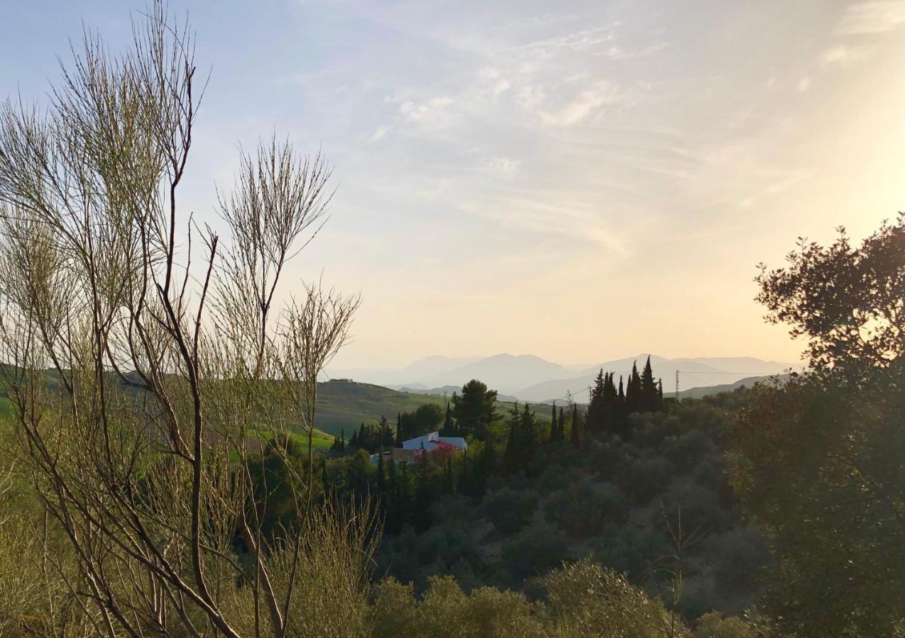 Finca Amorosa Вильянуэва-де-ла-Консепсьон Экстерьер фото